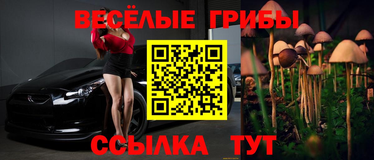 Галлюциногенные грибы MAGIC MUSHROOMS  купить наркотики сайты  Асбест  Вход с VPN 